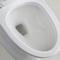 Boden - brachte längliche Badezimmer-Toiletten mit klaren Linien und Zurückhaltung an