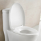 Boden - brachte längliche Badezimmer-Toiletten mit klaren Linien und Zurückhaltung an