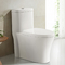 Sterling Elongated Bathroom Toilets Surface-Selbstreinigung 690X362X765MM