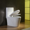 Keramische materielle längliche Schüssel 1-teilige Cupc-Toilette mit weich- Abschluss Seat