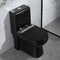 400mm Siphonic einteilige Toilette und Bidet-WC für Hotel-Landhaus-Wohnung