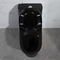 300mm Siphonic einteilige Toiletten-amerikanisches schwarzes Standardporzellan