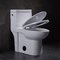 21 Zoll-runde Schüssel-einteilige Handikap-Toilette für behinderte Personen-hohe Kommoden