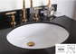 Weißes schwarzes ovales nominales Ada Bathroom Sink Wall Hungs-Cupc nach innen glasiert