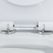 Glasig-glänzende keramische erröten-Einteiler-Toilette Siphonic Doppel12 Zoll rau herein