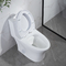 Glasig-glänzende keramische erröten-Einteiler-Toilette Siphonic Doppel12 Zoll rau herein