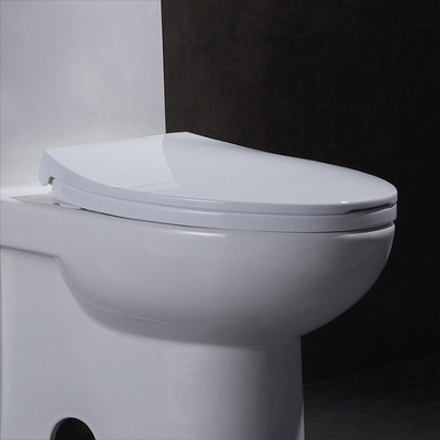 Längliche einteilige Toilette 10 Siphonic rau im Leck-Beweis weich schließend