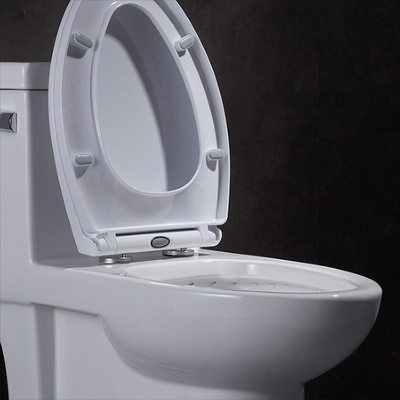 Längliche einteilige Toilette 10 Siphonic rau im Leck-Beweis weich schließend