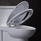 10 Zoll rau in Ada Comfort Height Toilet For sperrte Rv mit Energie-Erröten