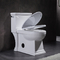Toiletten-Standardhöhe umsäumte Toiletten-einteilige Toilette mit Seite ebenes 4.8LPF