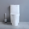 Handels-Ada Bathrooms Toilets For Physically behinderte herausgeforderte Person