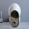 Zweiteilige Toilette einzelnes ebenes weiches schließendes Seat Ada Comfort Height Siphonic