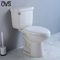 Porzellan-Ganzwäsche-integrierte zweiteiliges Toiletten-Badezimmer Druckdosen-WC