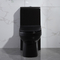 Längliche Matt Black Dual Flush One-Stück-Toilette 1,6 keramische Runde Gpf Cupc
