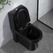 Längliche Matt Black Dual Flush One-Stück-Toilette 1,6 keramische Runde Gpf Cupc