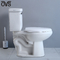 Ambulante Behinderte Ada Comfort Height Toilet 18&quot; 19 Zoll Roostic Trennen