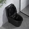 1,6 einteilige Toiletten-amerikanischer Standard Gpf Matt Black Dual Flush Elongated