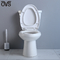 2-teiliges WC Ada Two Piece Toilet Flushs in Vorlagenbadezimmer KARTE 1000G