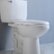 WC-Behälter CUPC weißer schwarzer zweiteiliger Toiletten-1,28 GPF