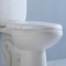 WC-Behälter CUPC weißer schwarzer zweiteiliger Toiletten-1,28 GPF