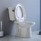 ebener amerikanischer Verdoppelungstandard-rechte Höhe verlängerte Toilette 0.92/1.28 Gpf