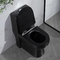 Schwarze einteilige längliche Toiletten 1,6 Gpf-Druckdose Jet Toilet Flushing Systems